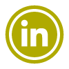 linkedinicon